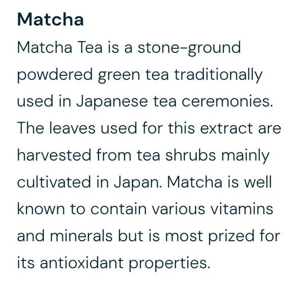 ELEMIS SUPERFOOD MATCHA EYE GEL 15ml NEW SOLD OUT ONLINE MSRP $42 - Picture 13 of 16